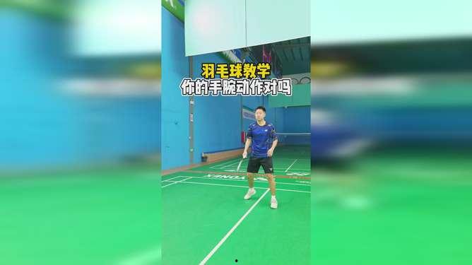 羽毛球基础动作示范教学视频,轻松掌握入门技巧