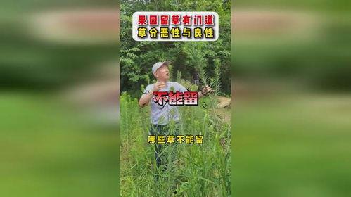 草留视频,揭秘自然之美与生态和谐