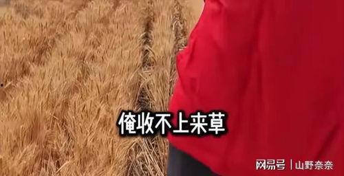 草留视频,揭秘自然之美与生态和谐