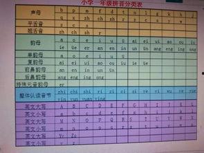 整体认读音节视频,视频深度解析