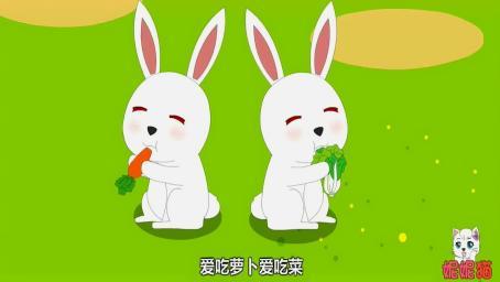小白兔视频,小白兔的奇幻冒险之旅