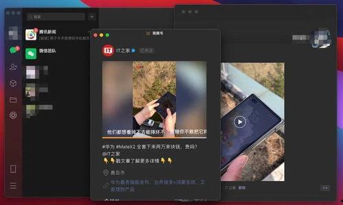 cf2共享视频,揭秘游戏背后的精彩瞬间与战术解析