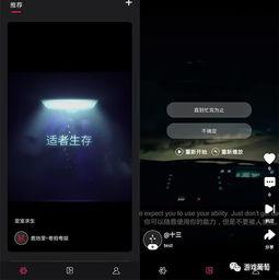 互动视频怎么做,打造沉浸式观看体验的秘诀解析