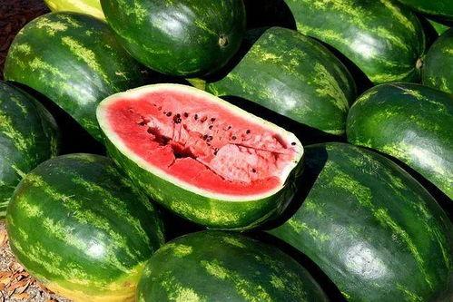 昆明鲜瓜今日价格,实惠与品质并存