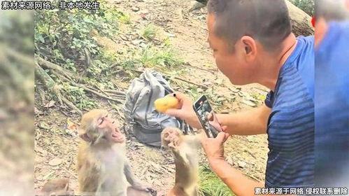 耍猴视频