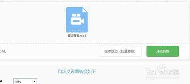 视频转换在线,视频内容轻松概述