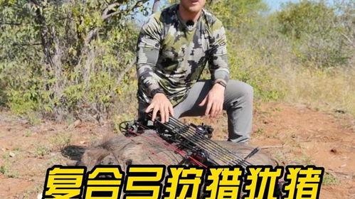 复合弓狩猎视频大全集,复合弓狩猎技巧与实战解析大全