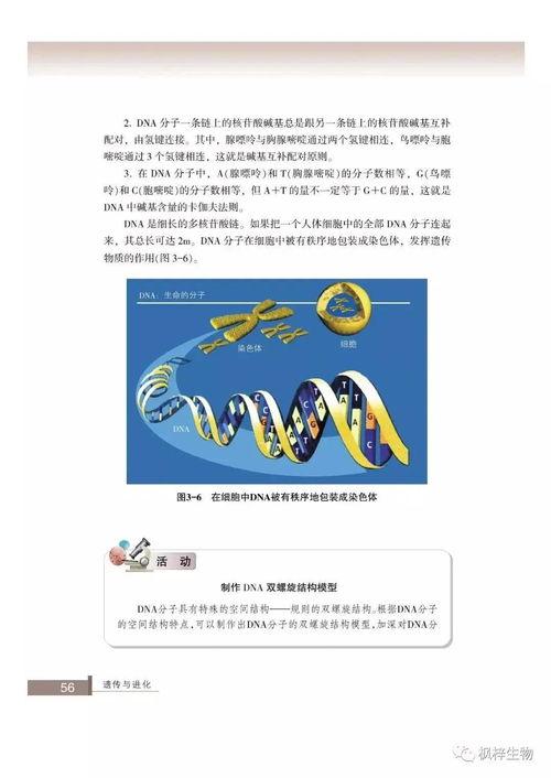 生物必修二视频,生命奥秘探索之旅
