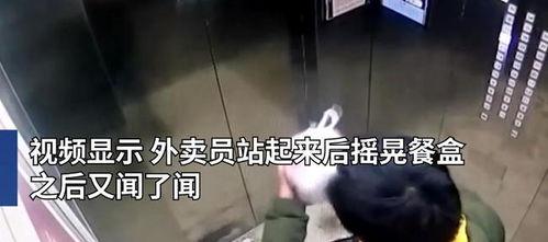 小便视频,一场关于生理现象的趣味探索