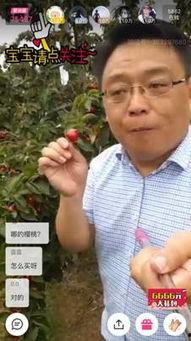 樱桃视频观看,带你领略精彩瞬间，感受生活魅力