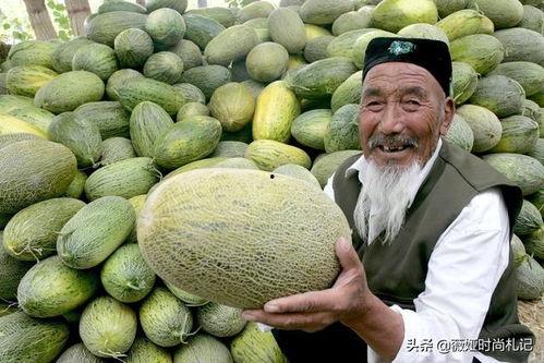 哈密瓜今日收购行情,价格波动与市场动态一览