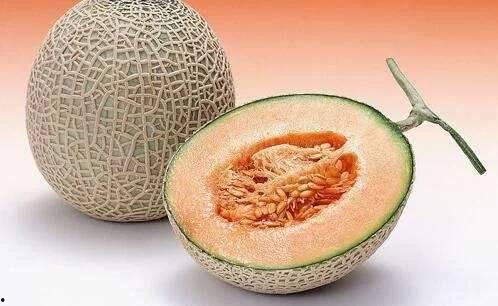 网纹哈密瓜今日特卖,尽享夏日甜蜜优惠！