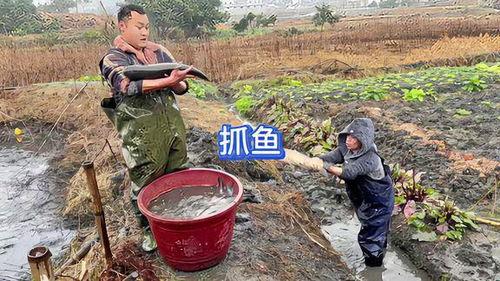 农村捉鱼视频,捕捉自然之美
