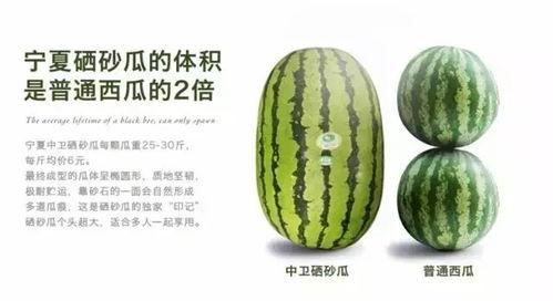 今日商丘310市场硒砂瓜行情,硒砂瓜热销，价格稳中有升