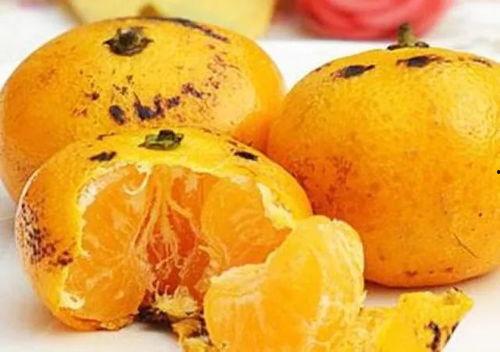 小孩吃黑蜜瓜好吗视频大全,儿童食用黑蜜瓜的益处与注意事项揭秘