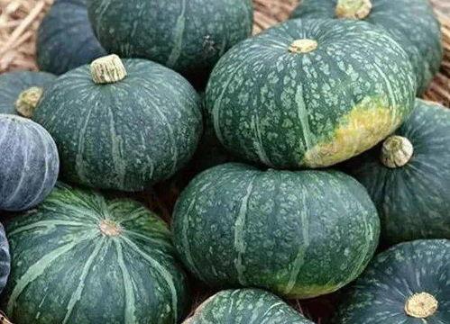 黑梢瓜怎么吃最有营养,黑梢瓜营养满分食用指南