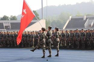 出旗视频,展现国旗荣耀瞬间