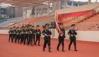 出旗视频,展现国旗荣耀瞬间