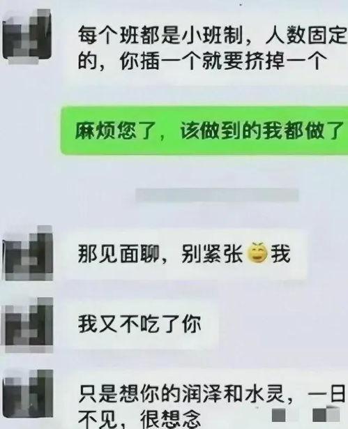 爆料吃瓜聊天记录图片,一场网络爆料的背后真相
