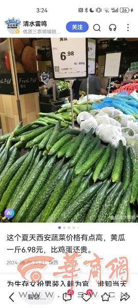 高石脆瓜今日价格走势