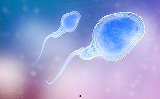 性刺激视频,感官冲击与伦理边界