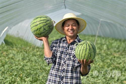 吃瓜爆料看这里,吃瓜爆料背后的真相大揭秘