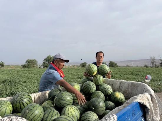 有一个吃瓜爆料网叫什么