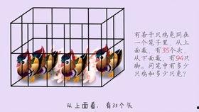 鸡兔同笼视频,视频解析经典数学难题