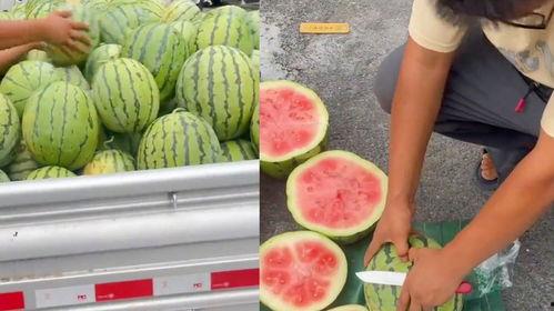 卖瓜小妹今日售瓜量,卖瓜小妹实力圈粉！”