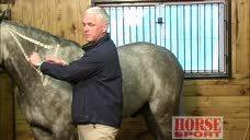 屁股打针视频,揭秘屁股打针的真实瞬间