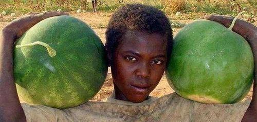 美剧黑吃瓜,揭秘娱乐圈背后的权力游戏与暗流涌动