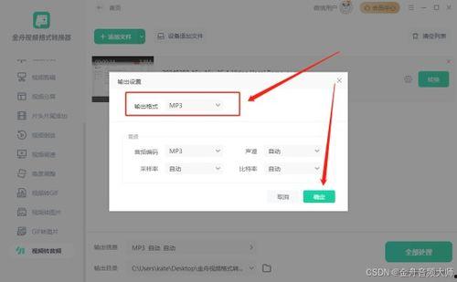 视频转换成音频,音频版深度解析