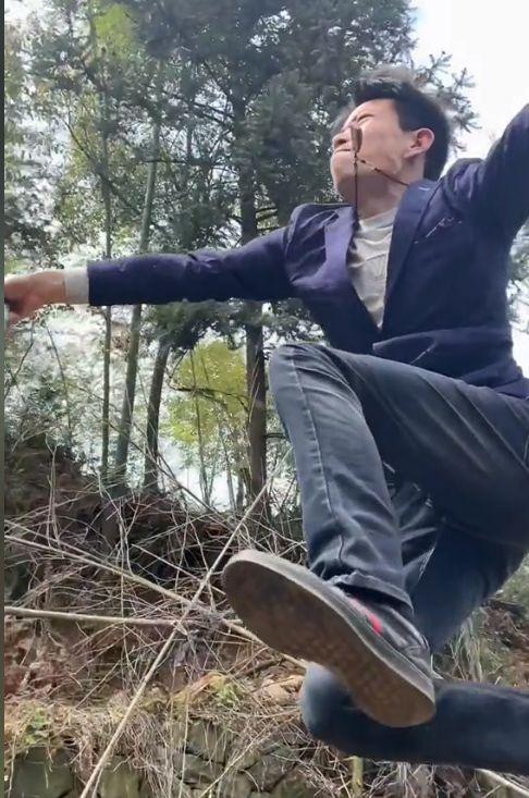 鸟哥视频,揭秘鸟类世界的奥秘与魅力