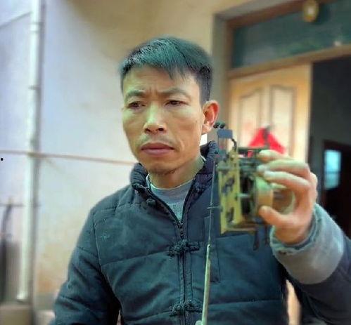 鸟哥视频,揭秘鸟类世界的奥秘与魅力