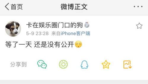 系统爆料吃瓜,系统爆料，吃瓜群众狂欢时刻