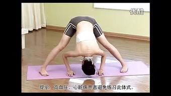 瑜伽入门视频,入门视频精华解析