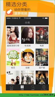 菠萝视频播放器,畅享视听盛宴的智能伴侣