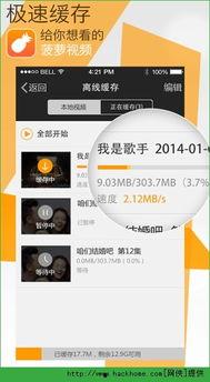 菠萝视频播放器,畅享视听盛宴的智能伴侣