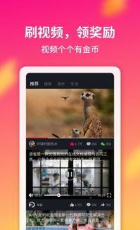 趣多多广告视频,甜蜜滋味，快乐分享