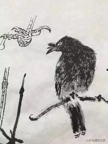 花鸟画教学视频,从入门到精通的绘画之旅