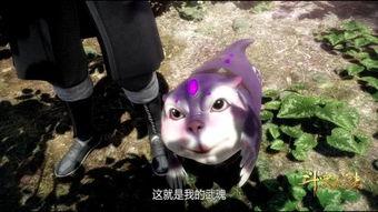 娱乐吃瓜君遛鸟大师是谁,揭秘娱乐吃瓜君背后的神秘人物